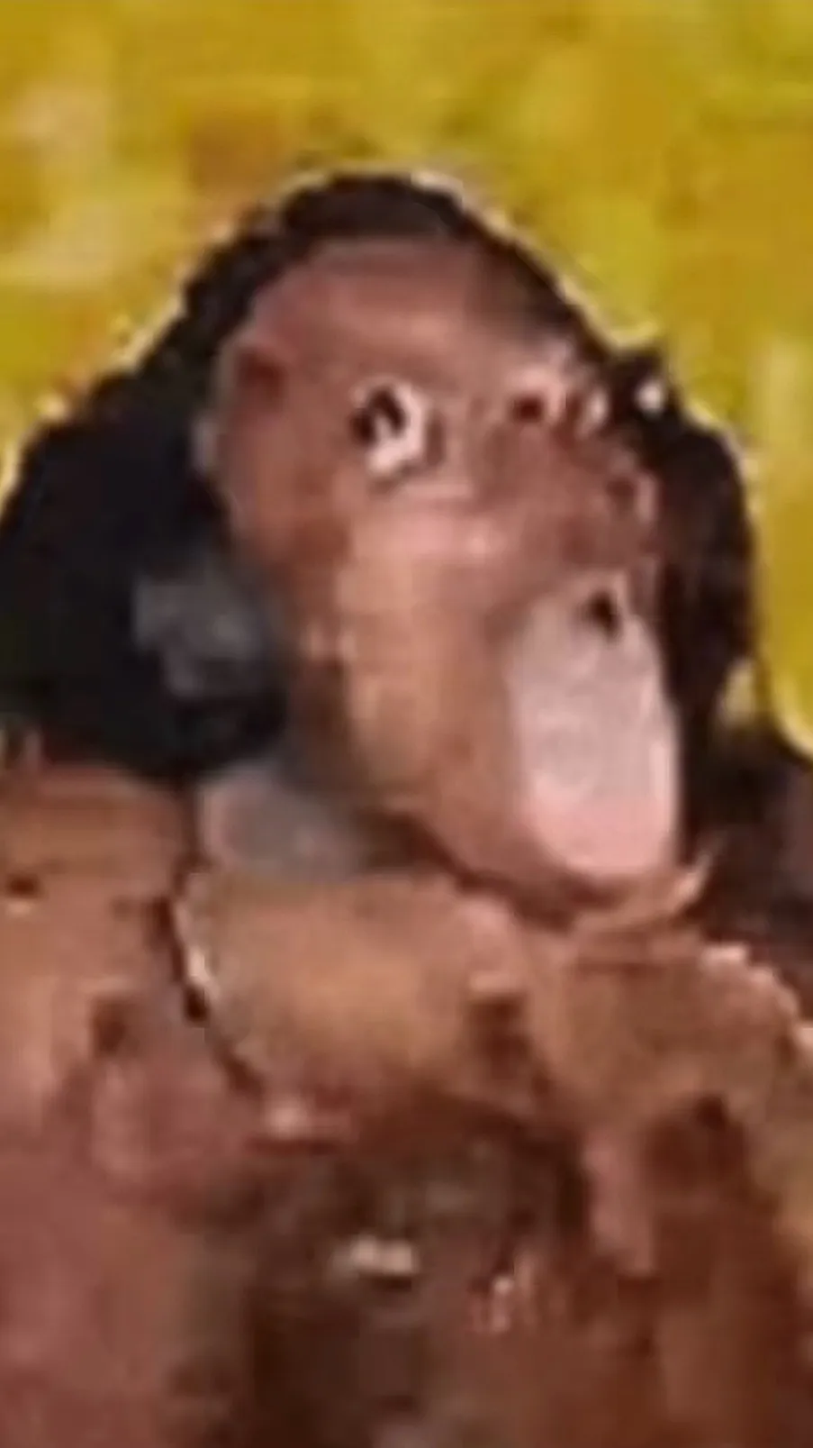 ai character: 1st meme :0 background