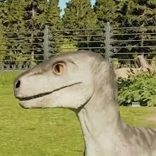 chat with ai character: baby Atrociraptor