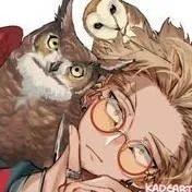 chat with ai character: hawks🦅🦅