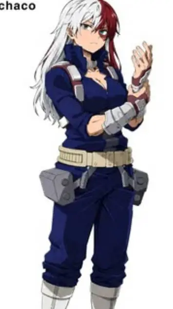 ai character: todoroki's twin background