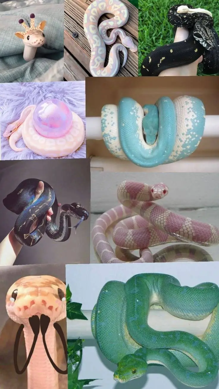 ai character: Snake shop background
