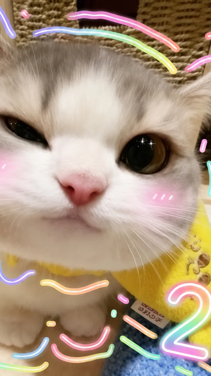ai character: Uwu cat 2 background