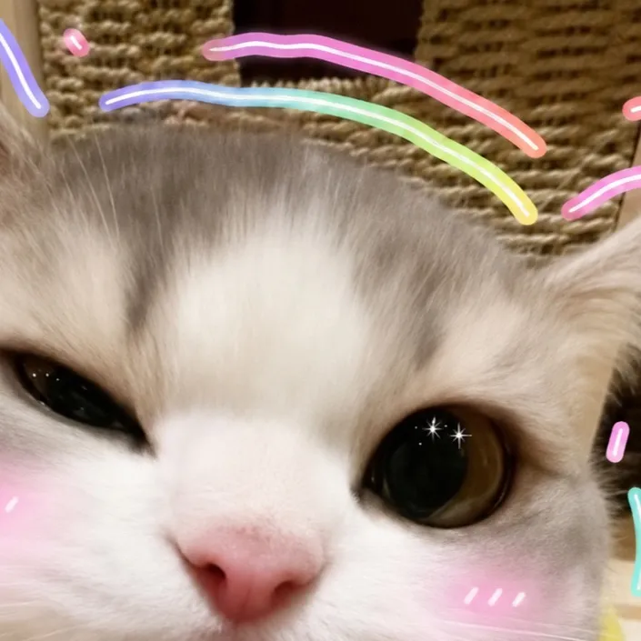 chat with ai character: Uwu cat 2