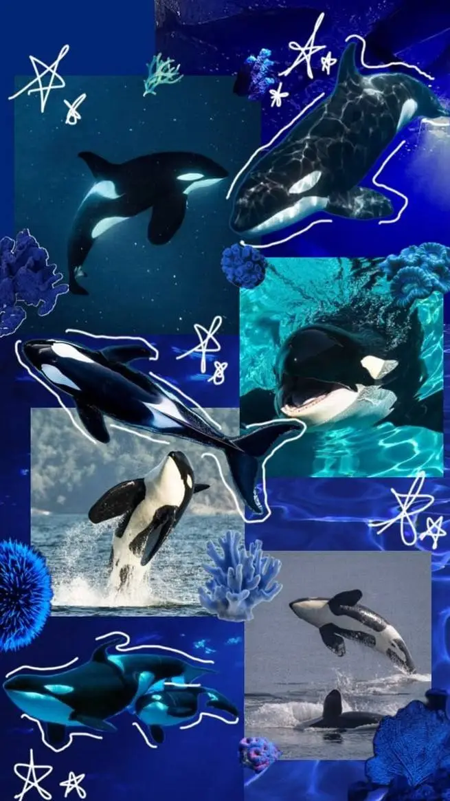 ai character: ORCA background