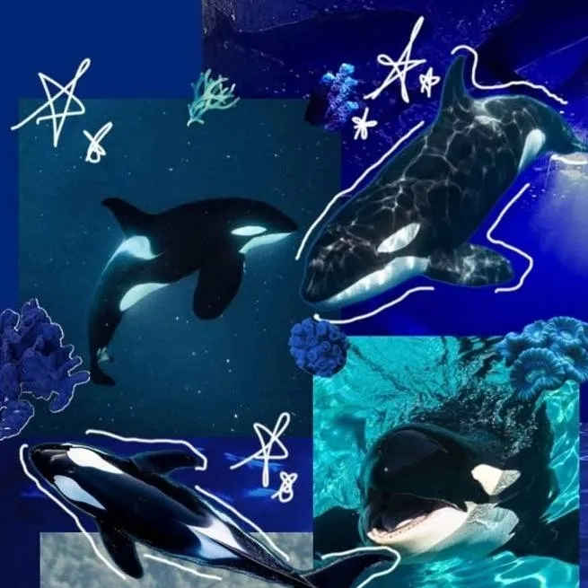 chat with ai character: ORCA