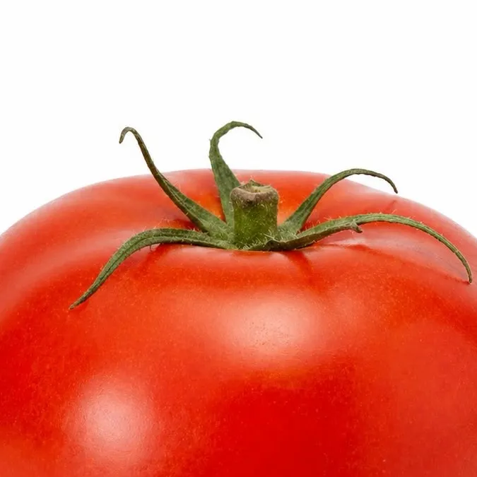 chat with ai character: Tomato