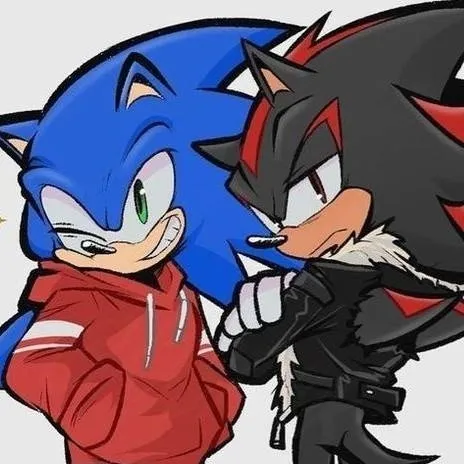 chat with ai character: sonic & shadow 