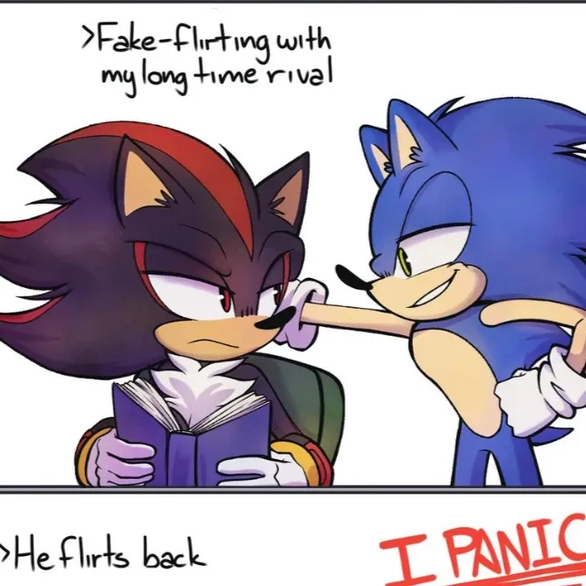 chat with ai character: 🖤💙Sonadow💙🖤