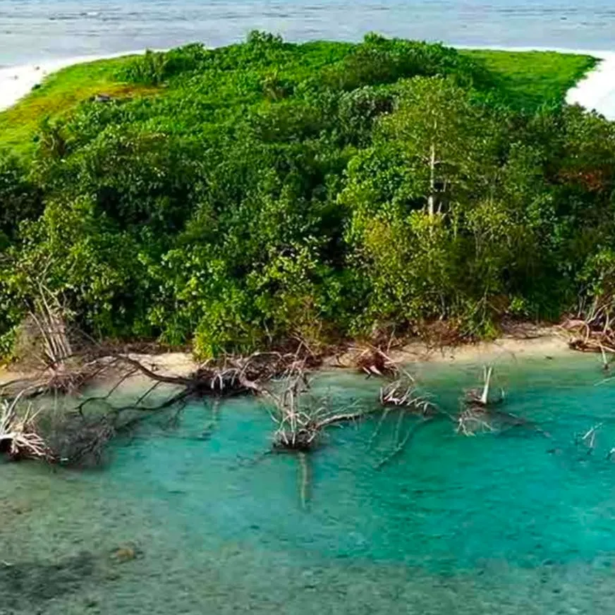 chat with ai character: desert island 
