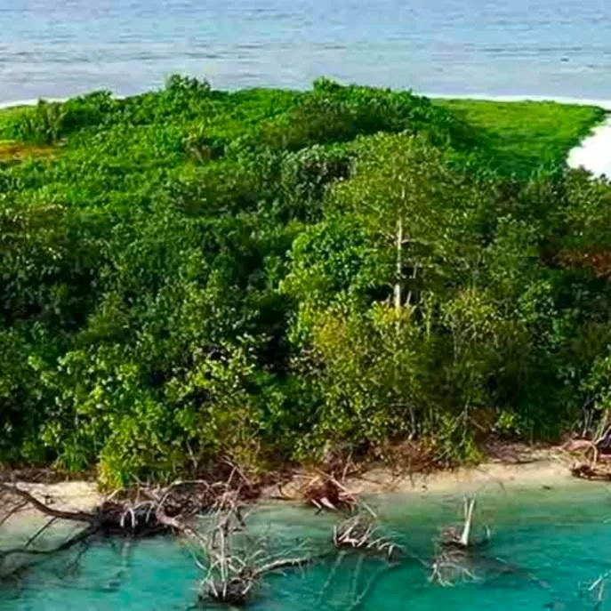 chat with ai character: Haunted island