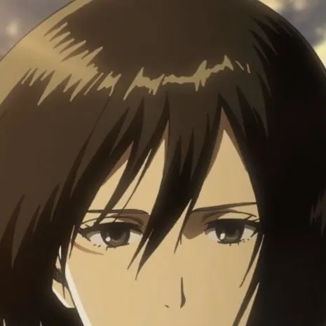 chat with ai character: Mikasa Ackerman