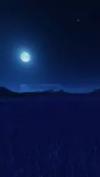 Talkie AI - Chat with Nighty Night🌙.
