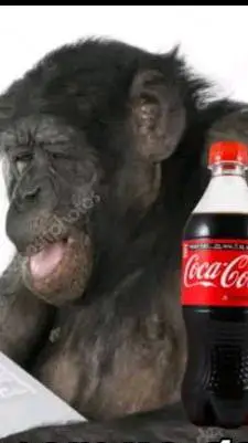 ai character: coca background