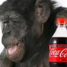 chat with ai character: coca