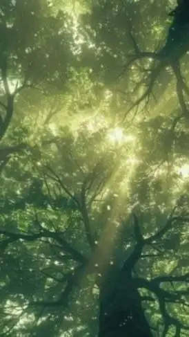 Talkie AI - Chat with ୨୧🪽🎵ANGELES🎵🪽୨୧