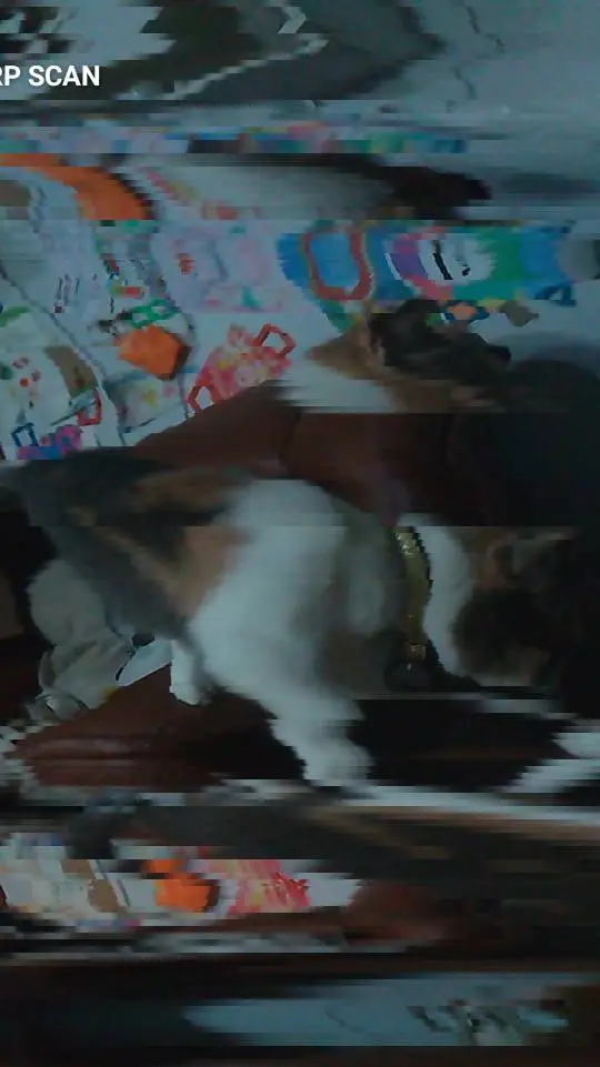 ai character: pomni quiere a jax background