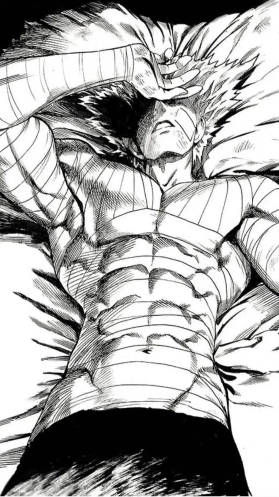 ai character: Garou background