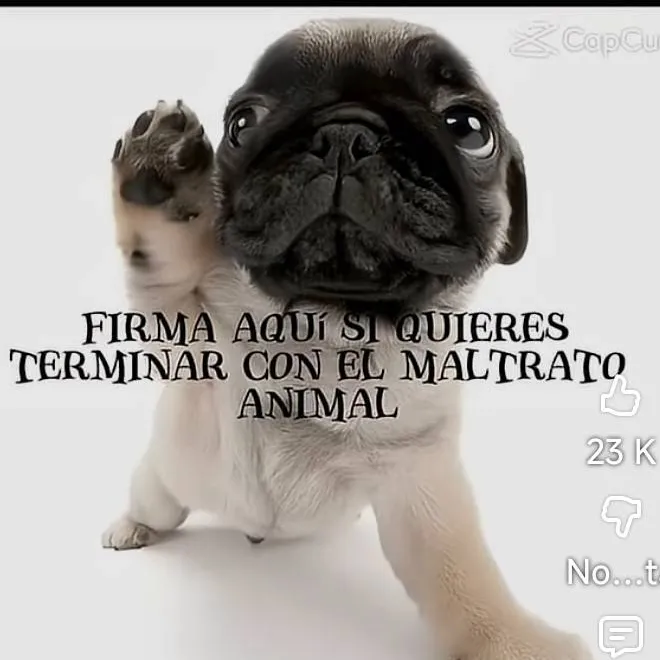 chat with ai character: perro