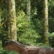 chat with ai character: Carnotaurus life
