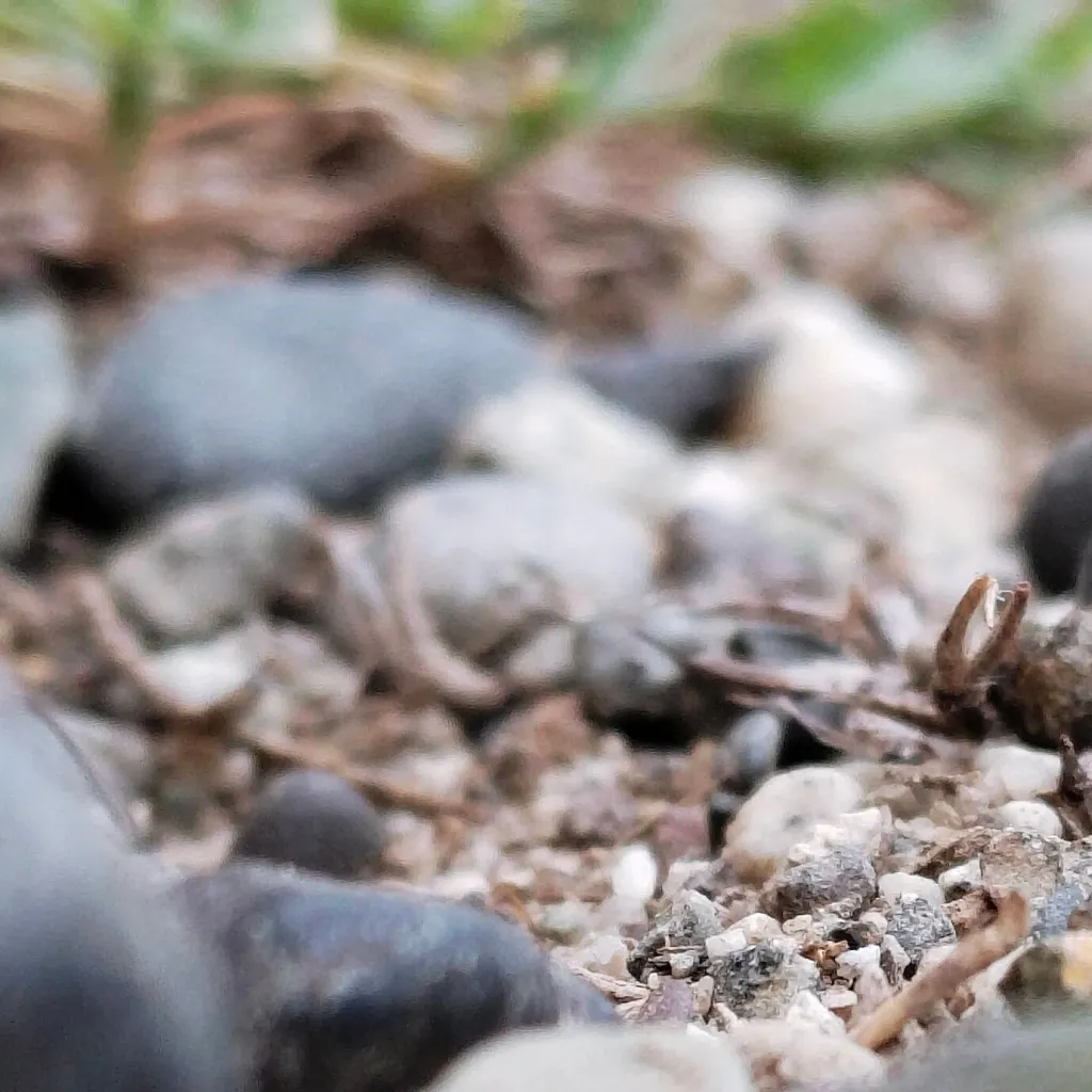 chat with ai character: kny dares
