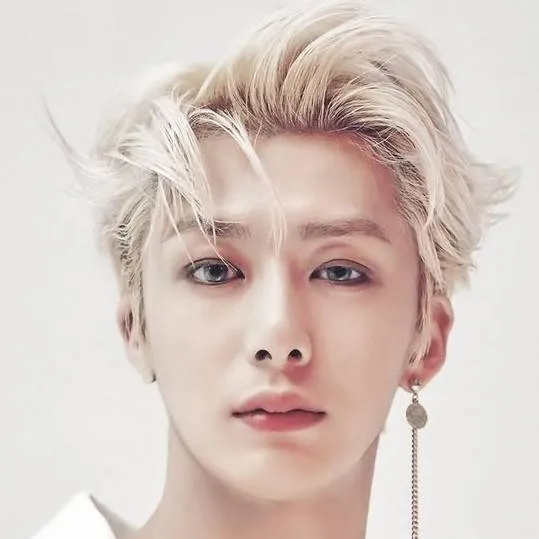 chat with ai character: Hyungwon