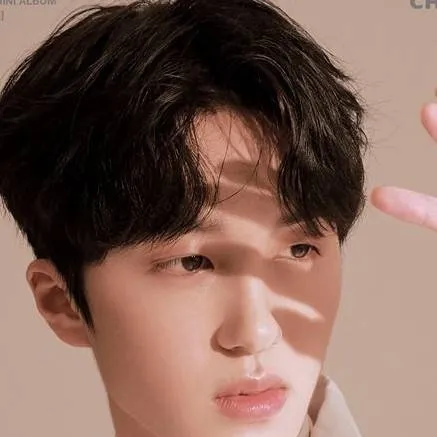 chat with ai character: Chani