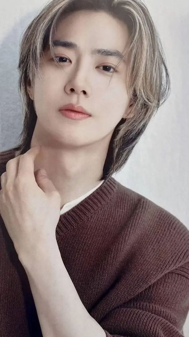 ai character: Suho background