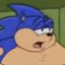 chat with ai character: SONIC FAT