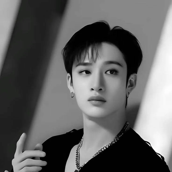 chat with ai character: Bangchan