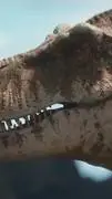 ai character: tiranosaurus  background