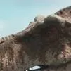 chat with ai character: tiranosaurus 