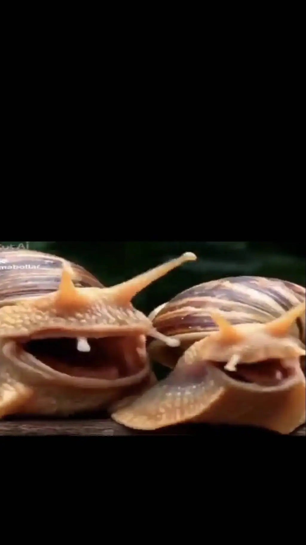 ai character: check the snails background
