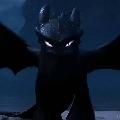 chat with ai character: httyd void fury