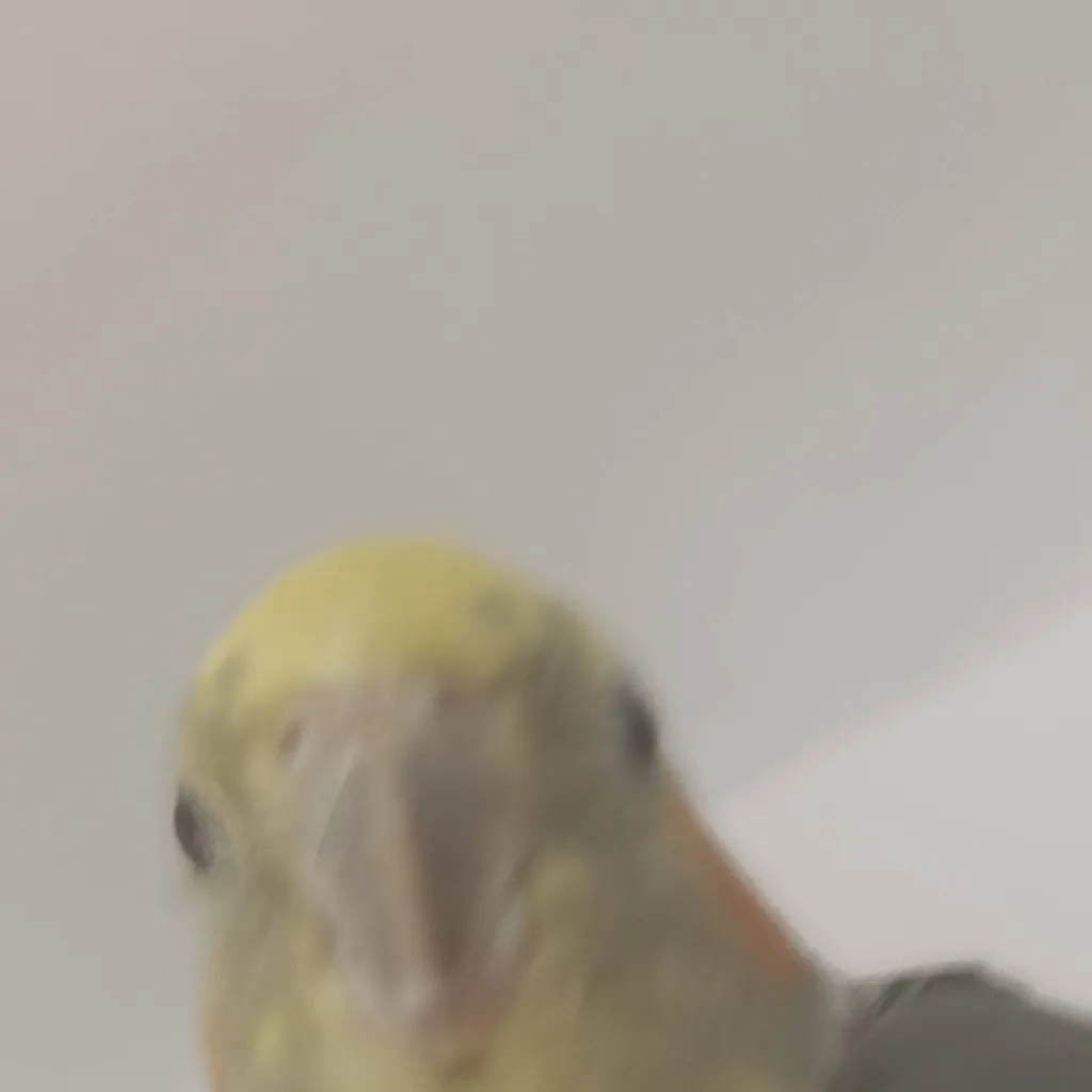 chat with ai character: parrot💅