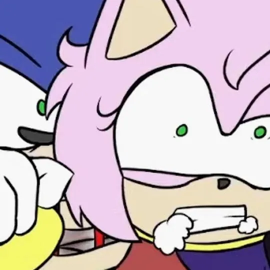 chat with ai character: rot-amy×rot-sonic