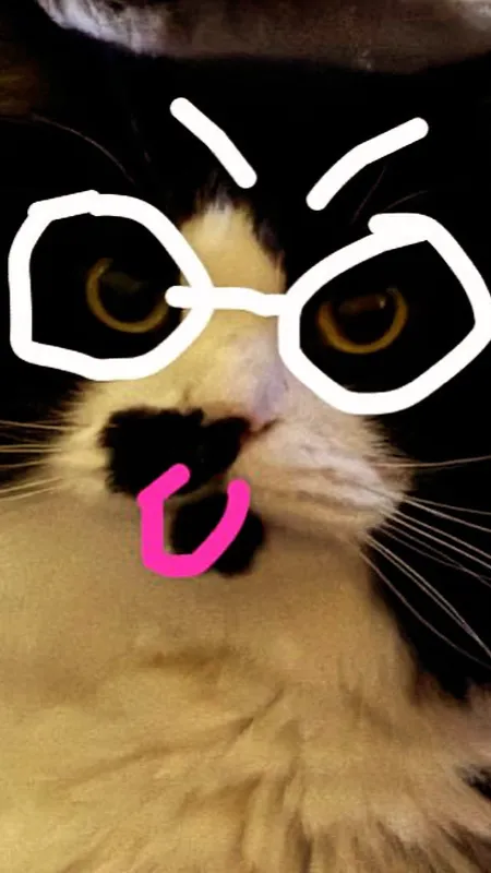 ai character: MEH KITTY background