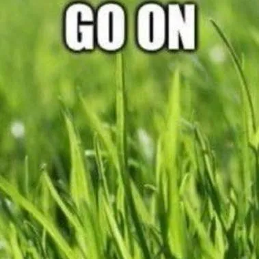 chat with ai character: TOUCH REAL GRASS