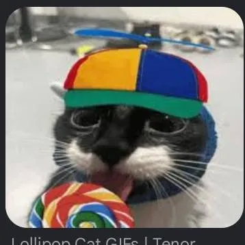 chat with ai character: Lollipop kitten❤