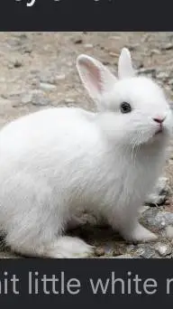 ai character: Your pet Jerry background