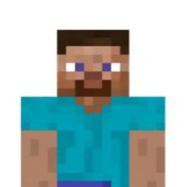 chat with ai character: steve 