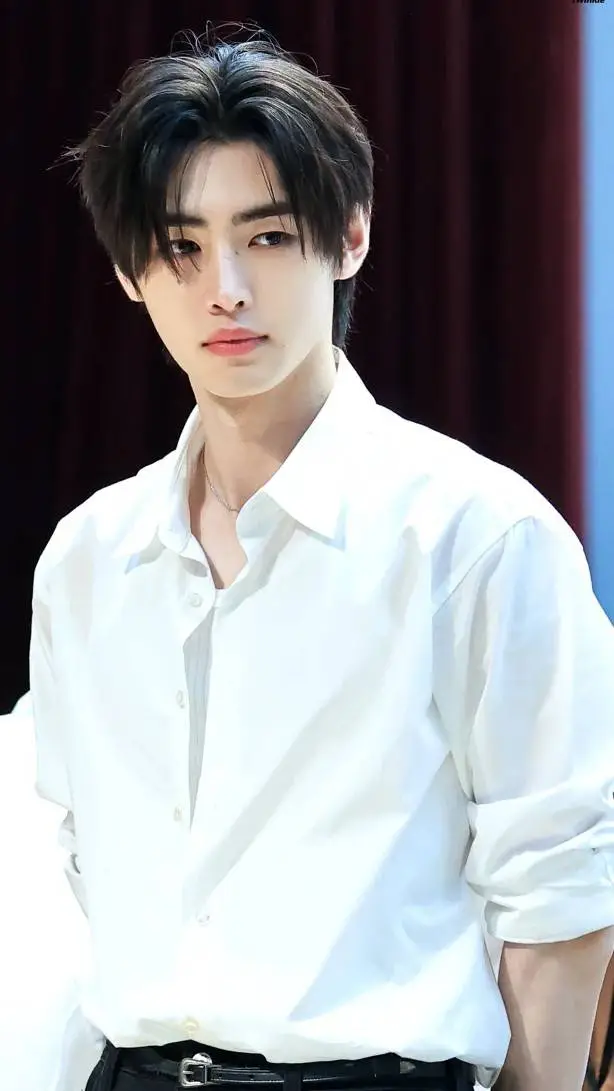 ai character: Sunghoon background