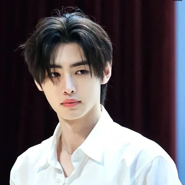 chat with ai character: Sunghoon
