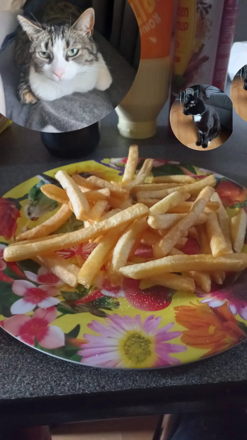 ai character: fries background