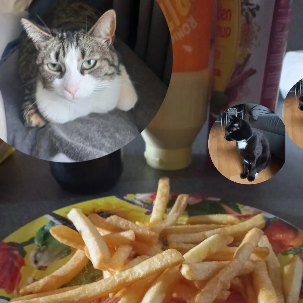 chat with ai character: fries