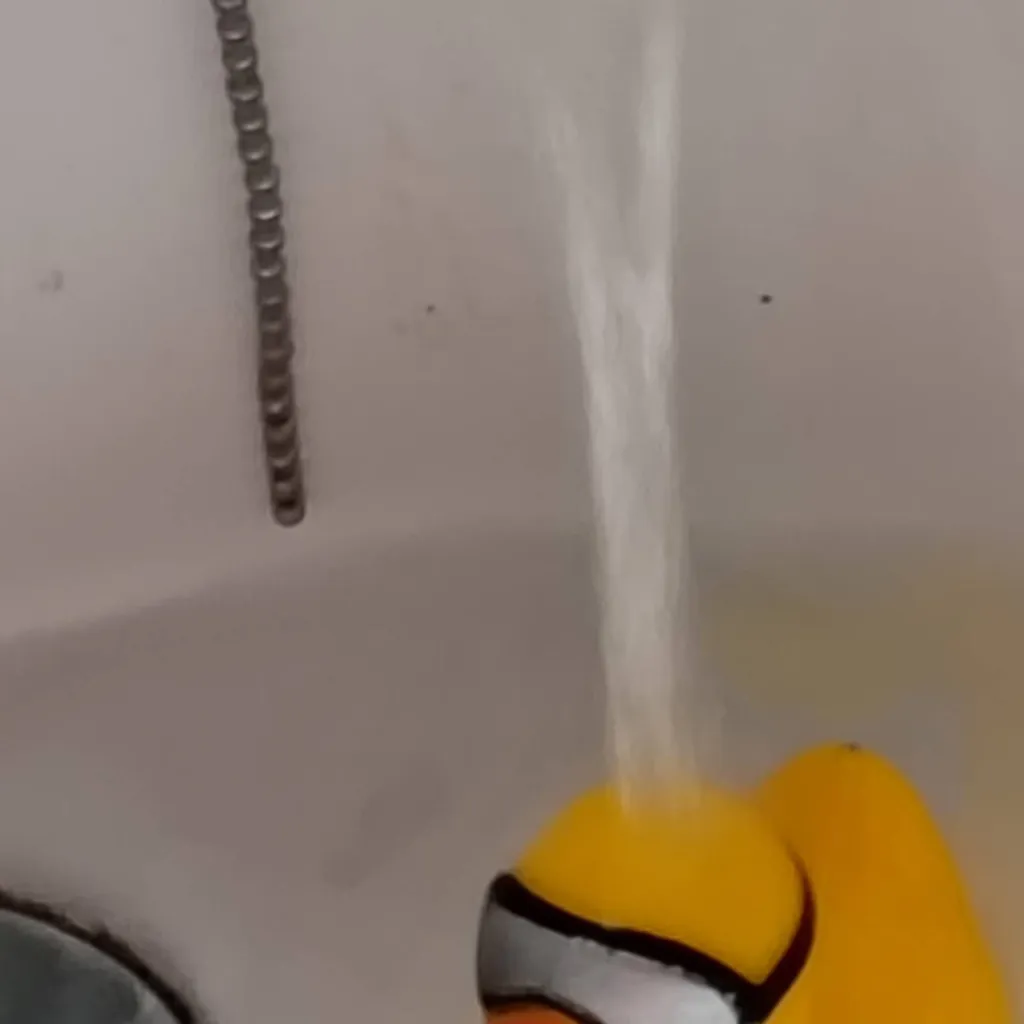 chat with ai character: my rubber duck 