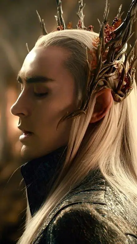 Talkie AI - Chat with Thranduil Oropher