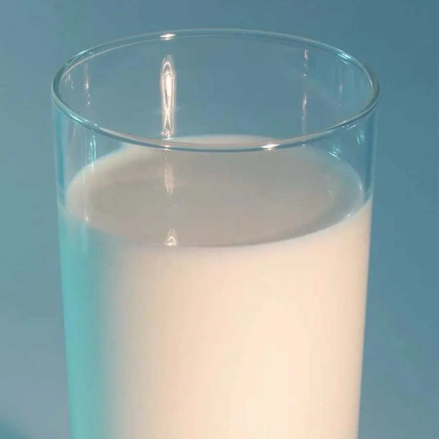 chat with ai character: Milk
