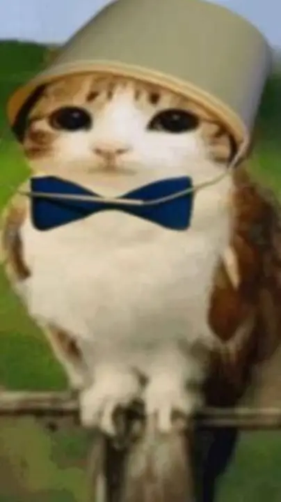 ai character: Meowl cute background