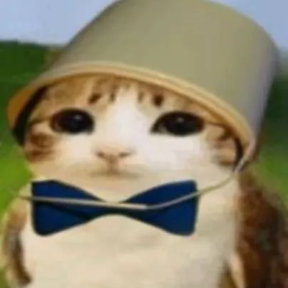 chat with ai character: Meowl cute