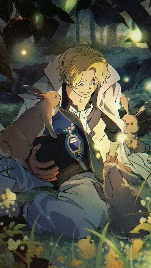 ai character: Sabo background